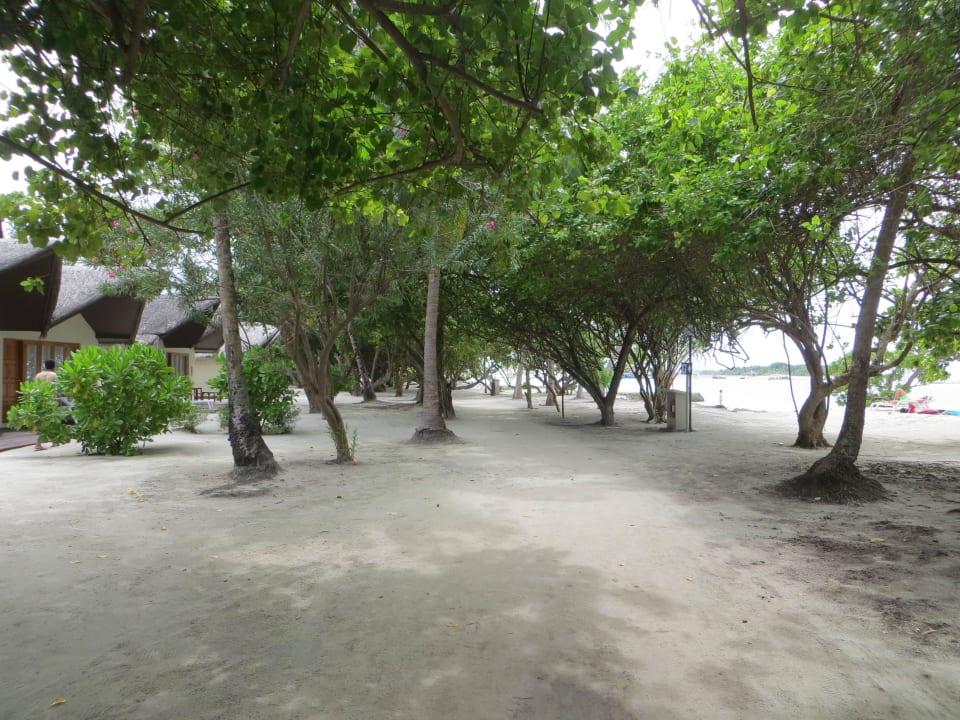 Spaziergang am Strand und den Beachvillen Adaaran Select Hudhuran Fushi - Premium All Inclusive