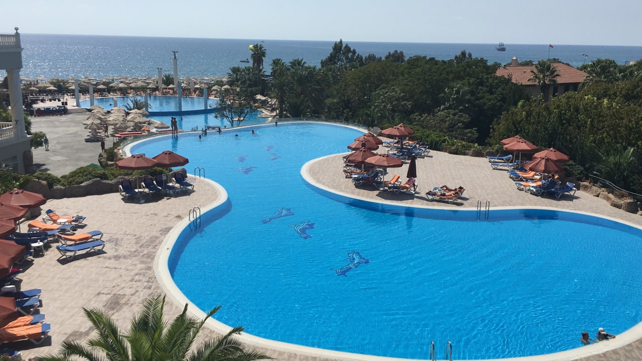 Pool Starlight Resort Hotel