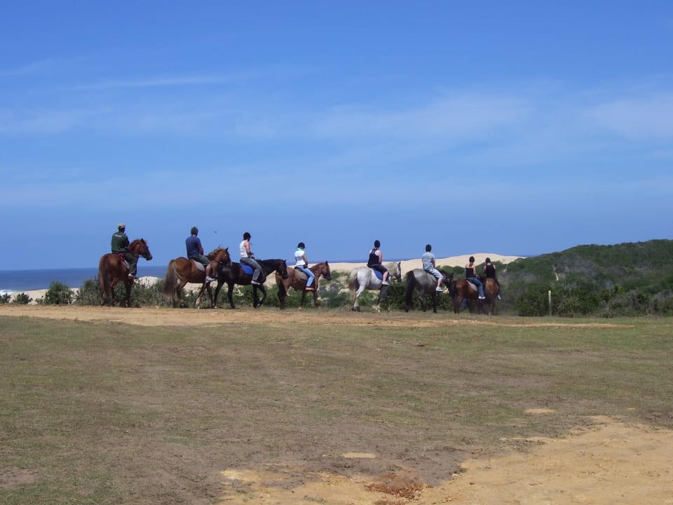 Strand Hotel Oyster Bay Lodge
