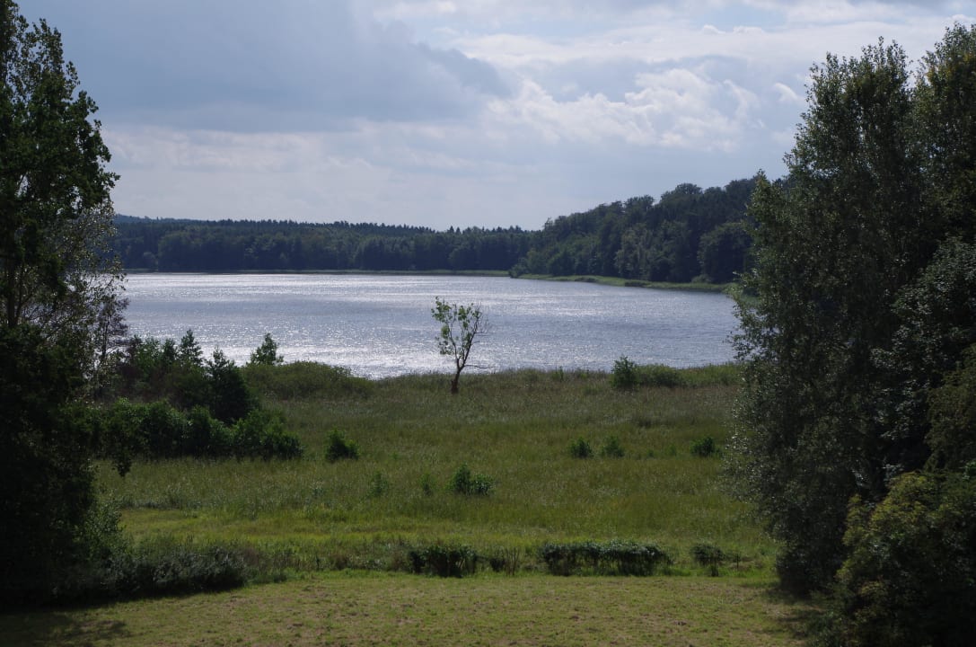 Der See beim Hotel im Naturschutzgebiet Hotel Schloss Passow