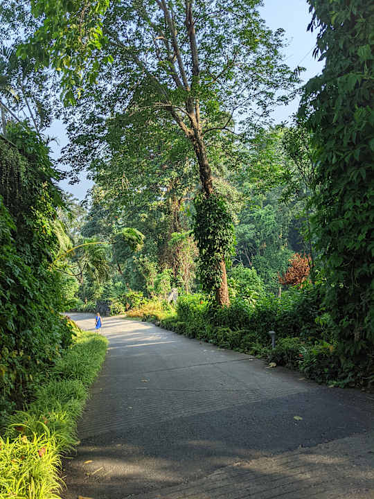 Gartenanlage SYLVAN Koh Chang