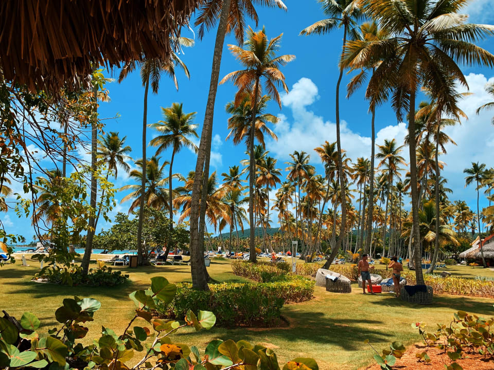 Gartenanlage Wyndham Alltra Samana