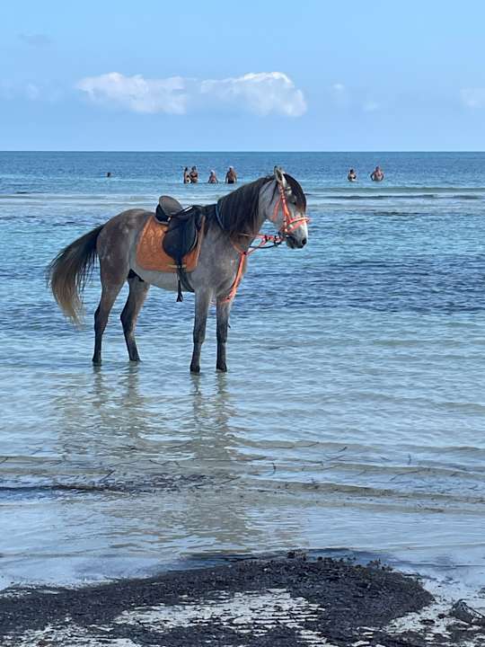 Strand Calimera Yati Beach