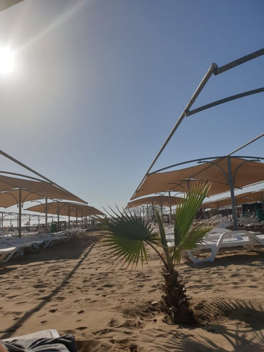 Strand Seamelia Beach Resort