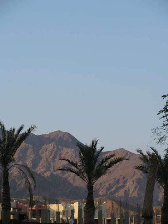 Ausblick vom Hotel auf den Sinai Hotel Sea Sun Dahab