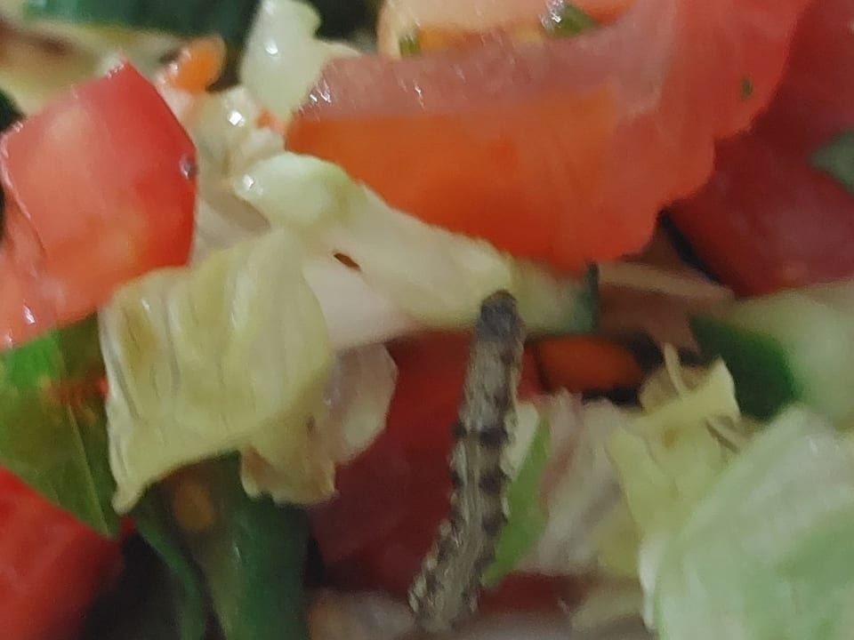 Gastro Hotel The Holiday Resort