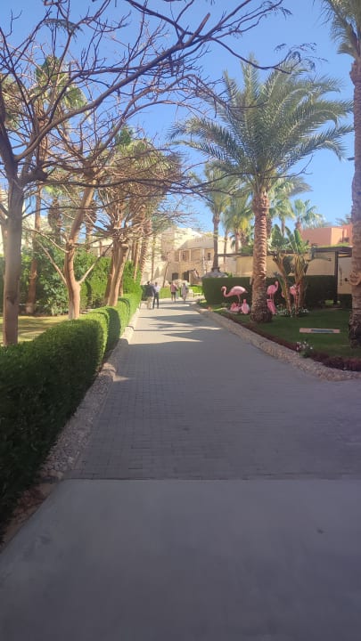 Gartenanlage Hotel JAZ Makadi Star & Spa