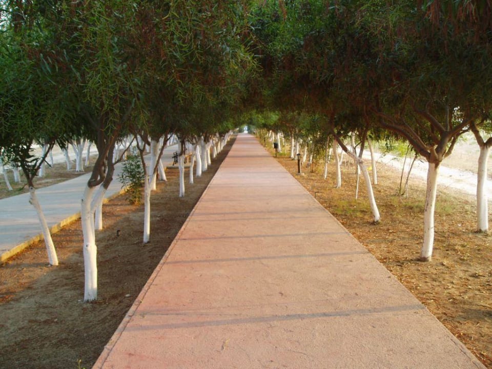 Allee zum Strand Grand Seker Hotel