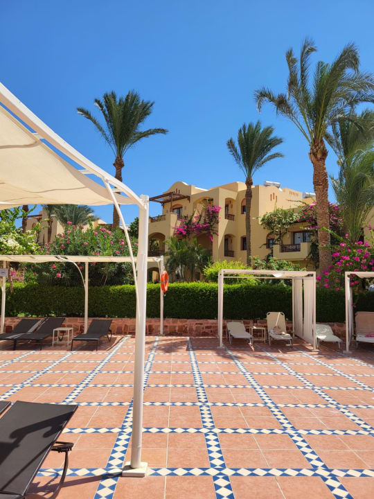 Pool Steigenberger Coraya Beach - Adults only