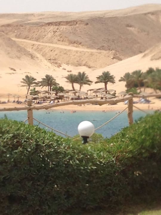 Blick von unserem Bungalow...wie eine Oase  Siva Golden Bay Makadi