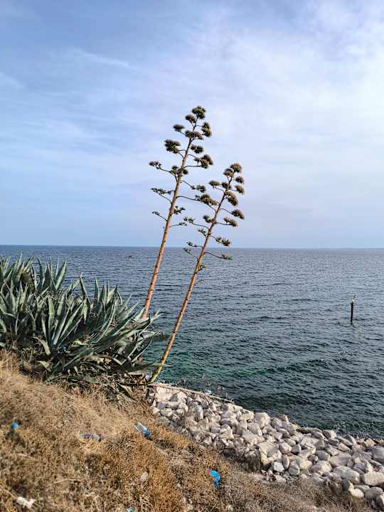 Sonstiges Hotel El Borj