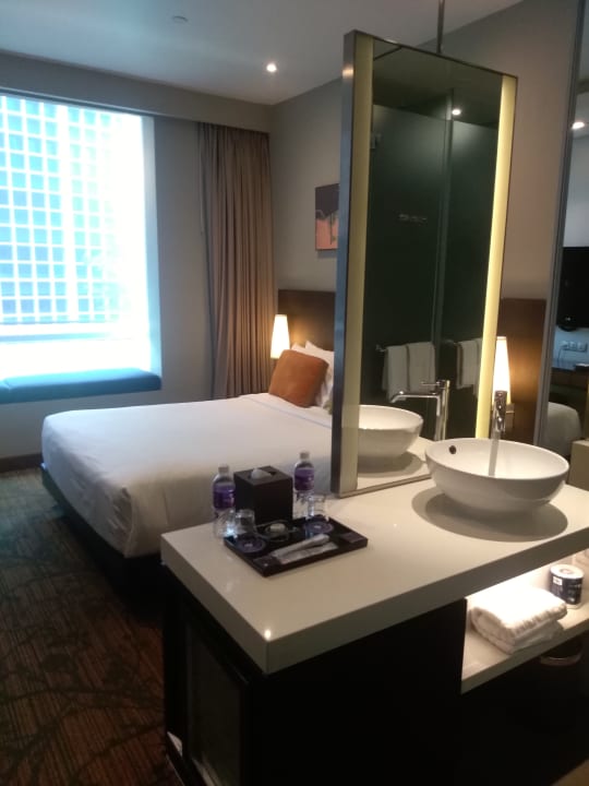 Zimmer Park Regis Singapore