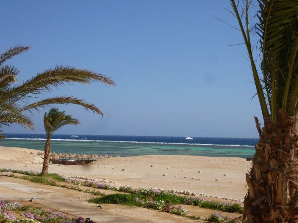 Blick von unserem Balkon Three Corners Fayrouz Plaza Beach Resort