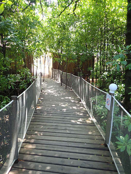 Gartenanlage Reef & Beach Resort