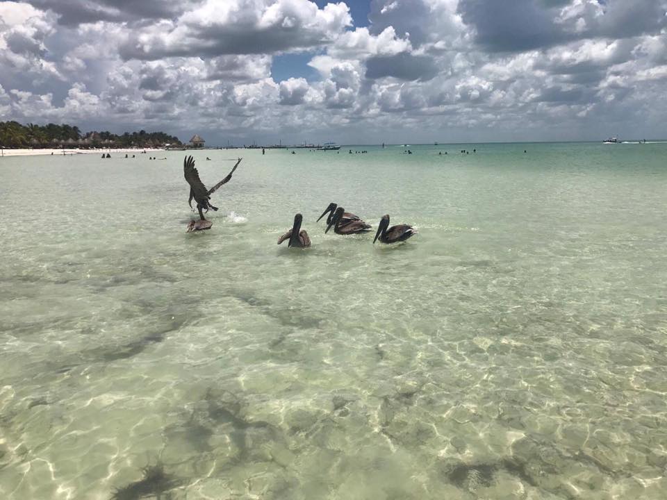 Strand Hotel Villas Flamingos