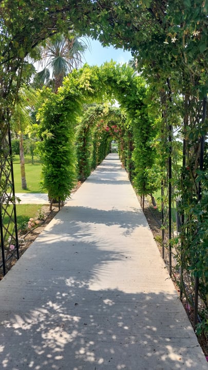 Gartenanlage Hotel Novum Garden Side