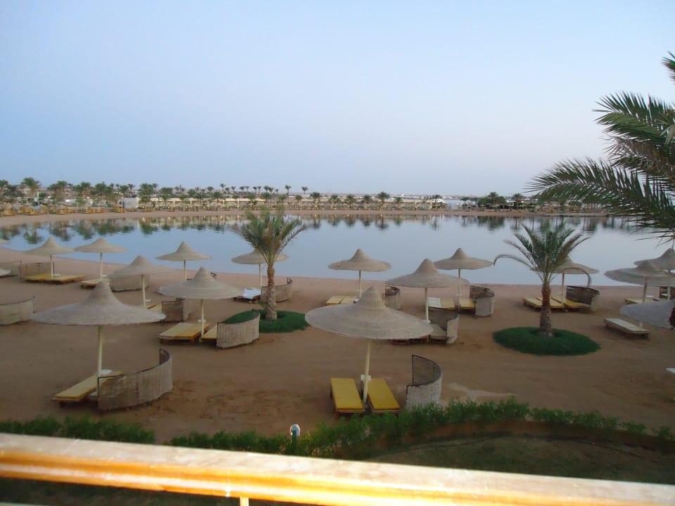 The view from my room Desert Rose