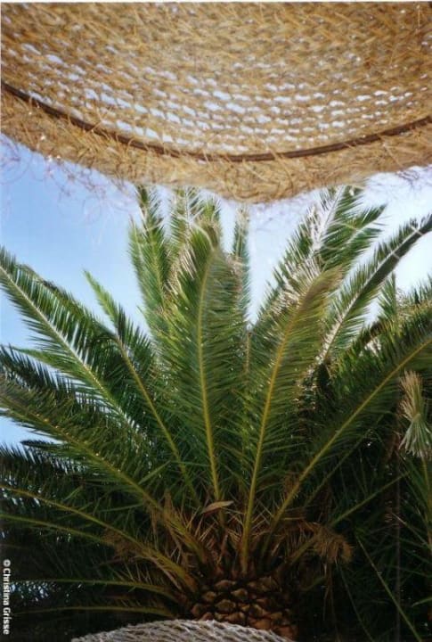 Unter dem Strohsonnenschirm am Pool Hotel Simbad