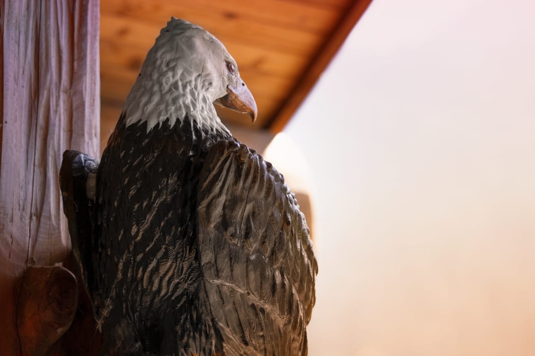 Ausblick Little Wolf Resort