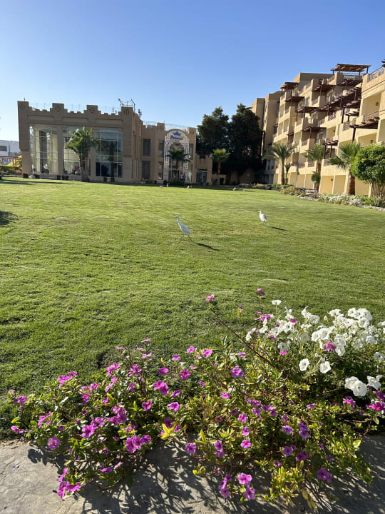 Außenansicht Imperial Shams Abu Soma
