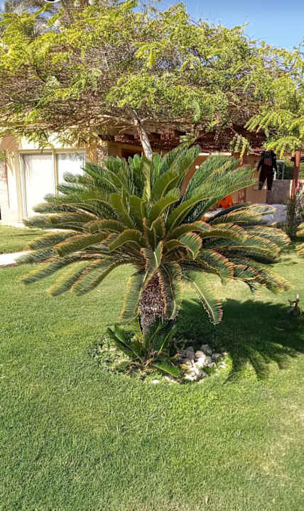 Außenansicht Shams Safaga Resort