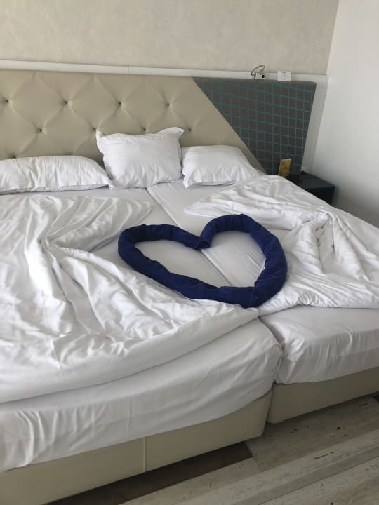 Zimmer Sentido Marea