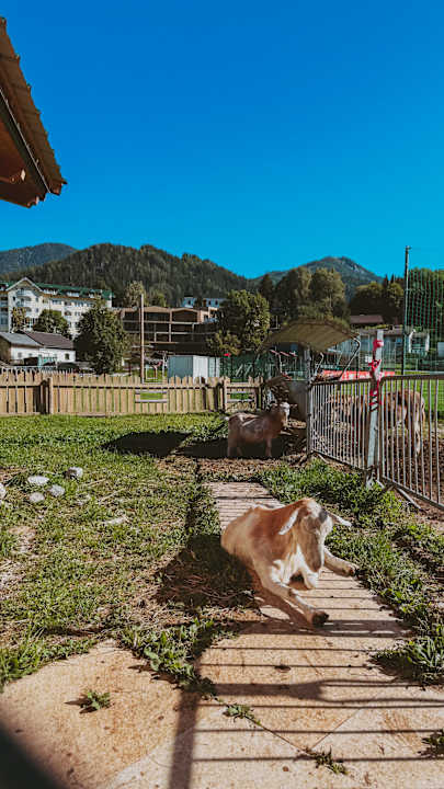 Gartenanlage Dilly - Das Nationalpark Resort