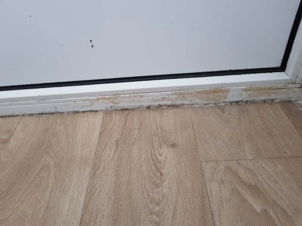 Zimmer Motel Stralsund