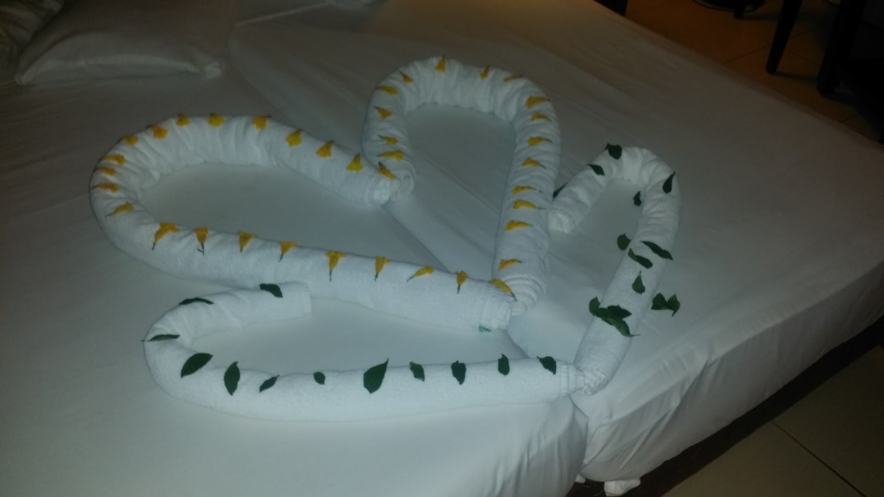 Zimmer Jaz Dar EL Madina