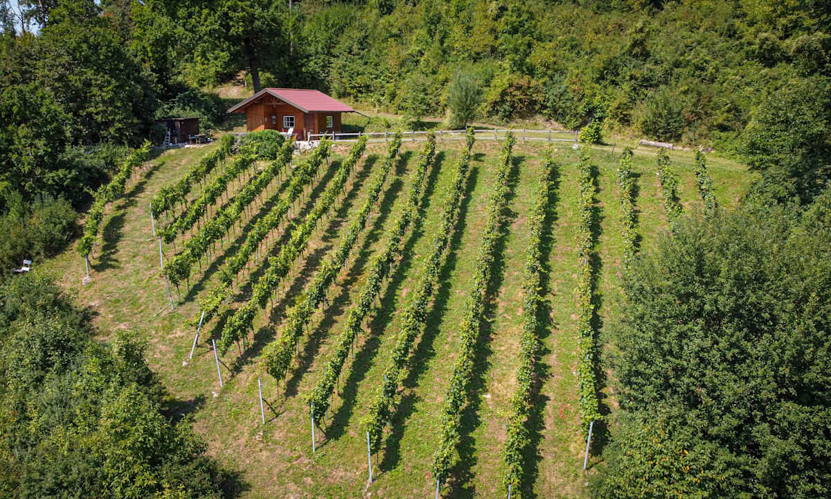 Gartenanlage Appartements und Vinoteka David