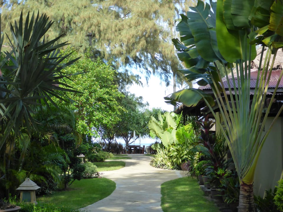 Von den Bungalows den Weg zum Strand Hotel Lanta Castaway Resort