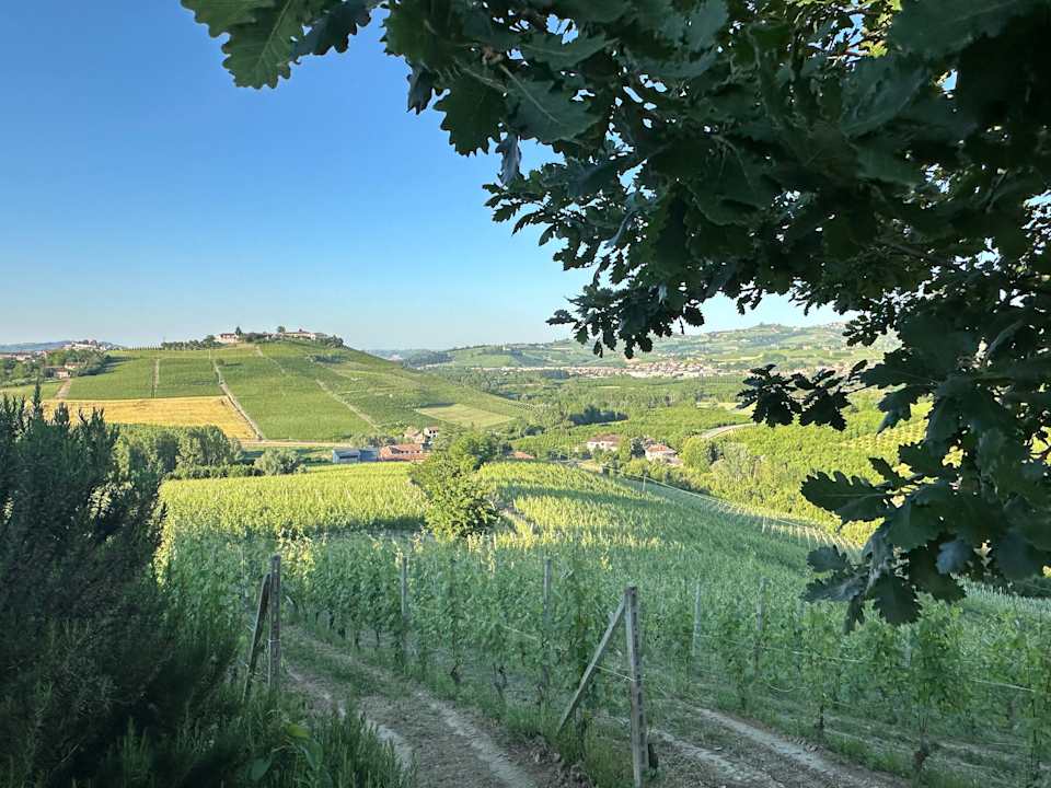 Ausblick Il GrecAle - Camere e Appartamenti