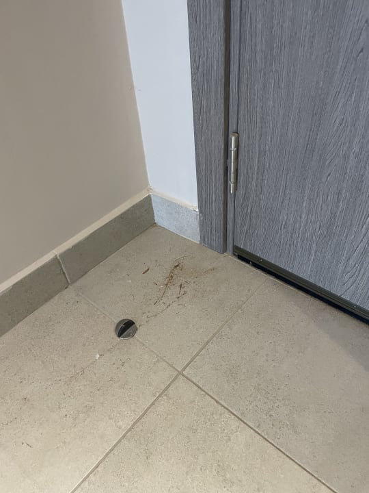 Zimmer Steigenberger Resort Ras Soma