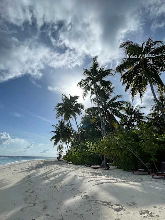 Strand Filitheyo Island Resort