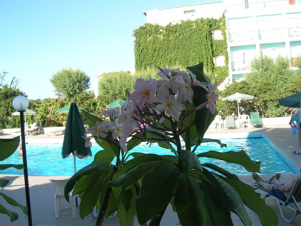 Pool Hotel Kathrin Beach