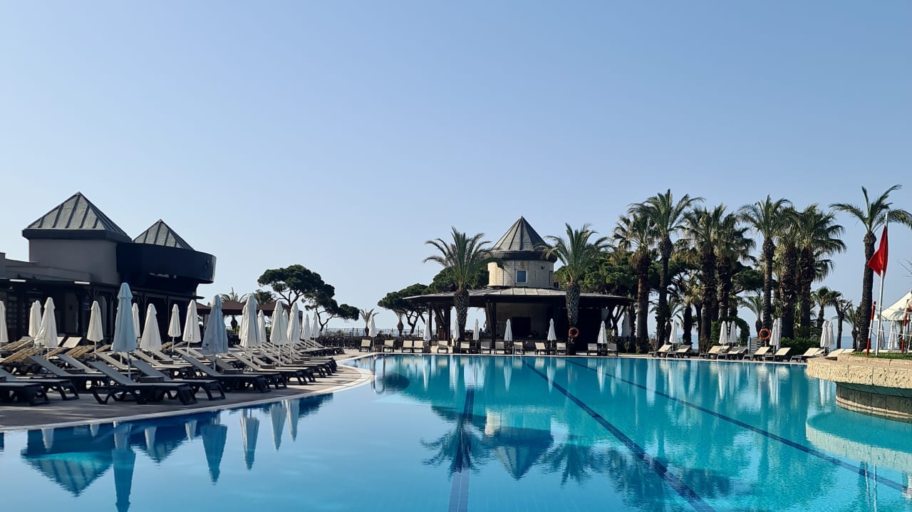 Außenansicht Papillon Ayscha