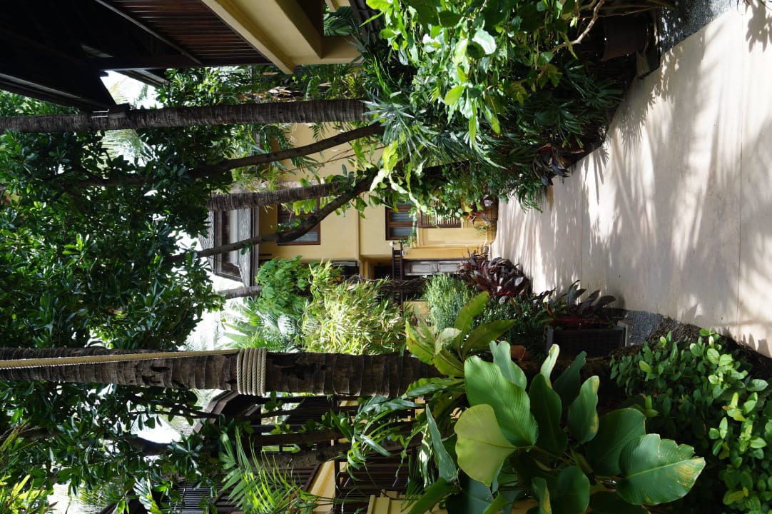 Mehrmals tälglich wurde die Anlage gereinigt.  Buri Rasa Village Samui Adults Only Resort