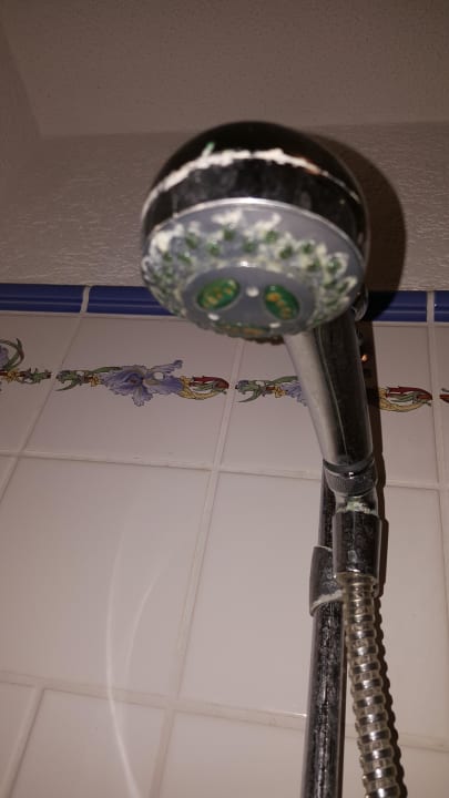 Duschkopf Villa Pompei