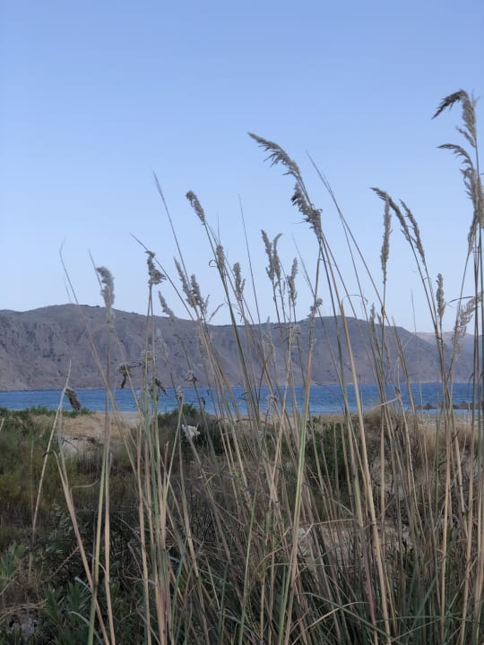 Strand Anemos Luxury Grand Resort