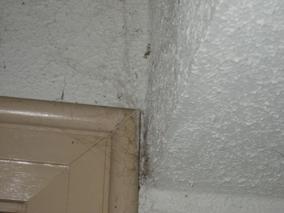 Zimmereingang PALOMA Perissia