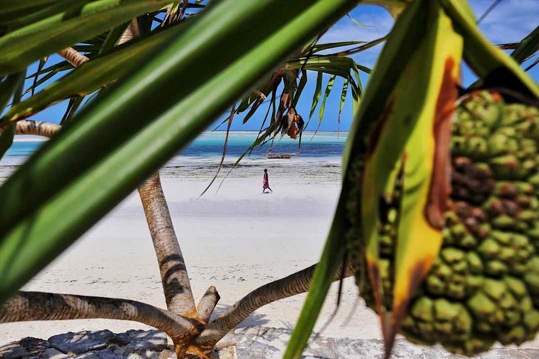 Tolles Farbenspiel am Strand Neptune Pwani Beach Resort & Spa