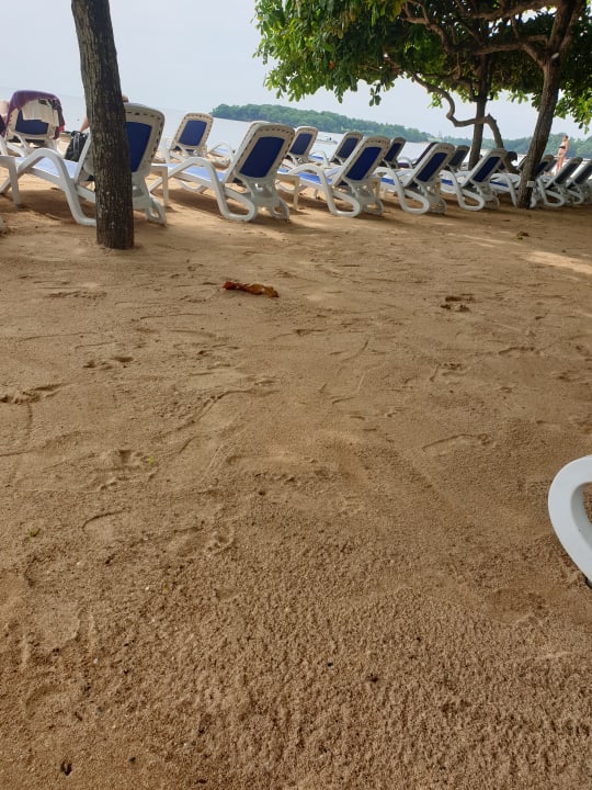 Lobby Nusa Dua Beach Hotel & Spa