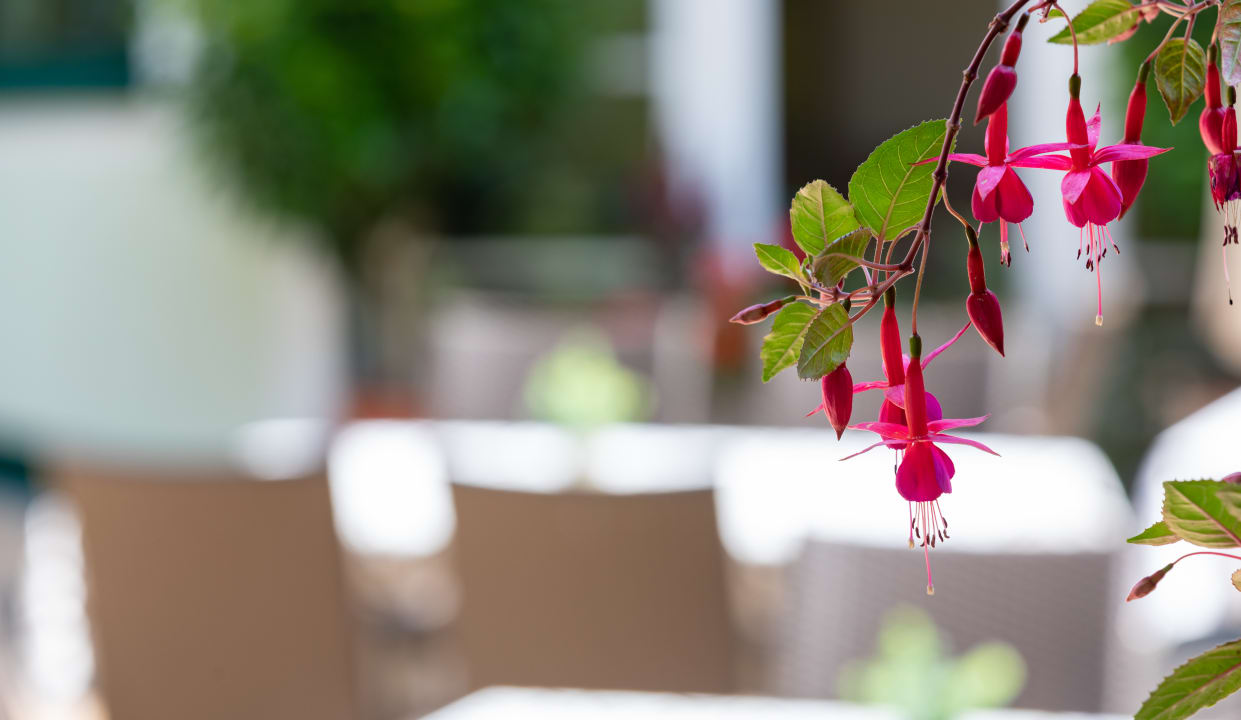 Sonstiges Panoramahotel Gürtl