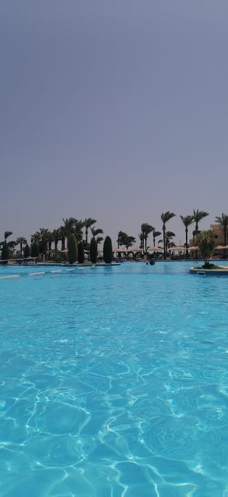 Pool Pickalbatros Palace Resort