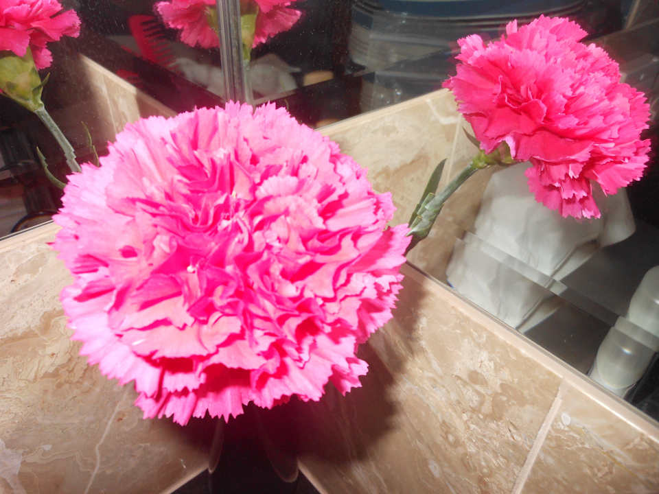 Blume im Badezimmer Sheraton Warsaw Hotel