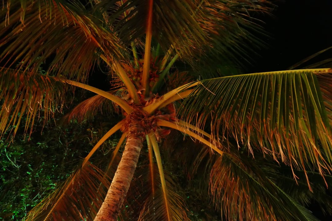 Nachts Kuredu Island Resort & Spa