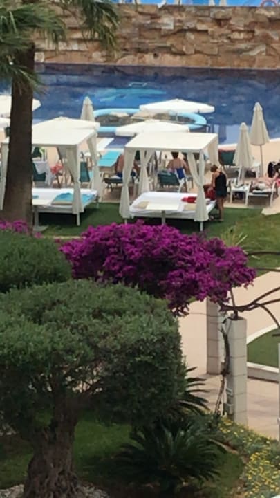 Gartenanlage Hotel Cala Millor Garden - Adults only