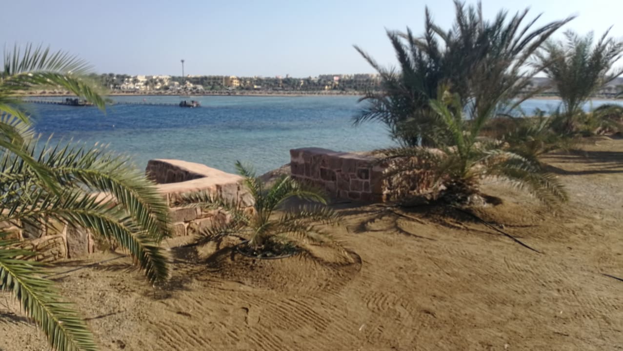 Strand Steigenberger Coraya Beach - Adults only