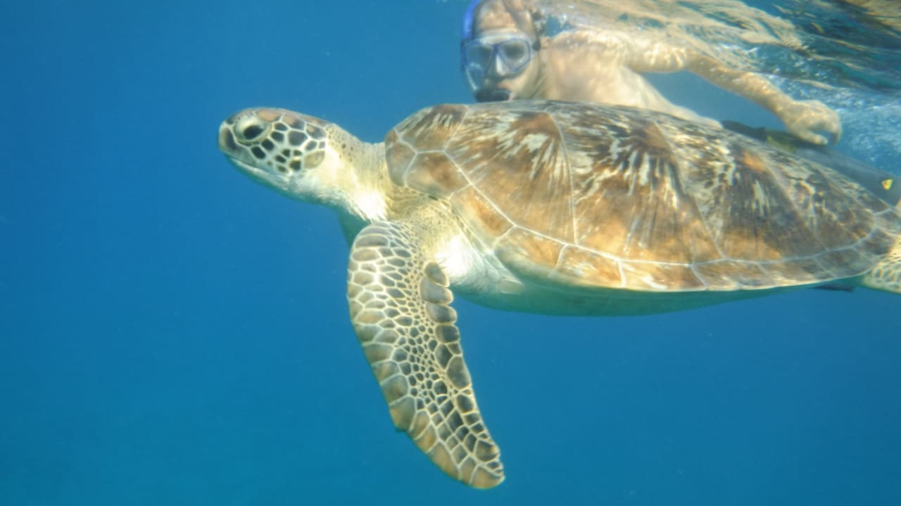 Sport & Freizeit Malikia Resort Abu Dabbab