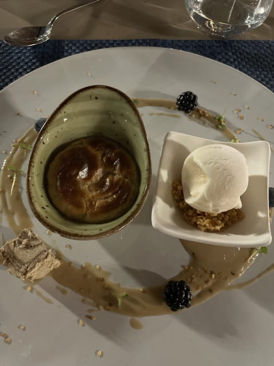 Gastro Acanthus Cennet Barut Collection